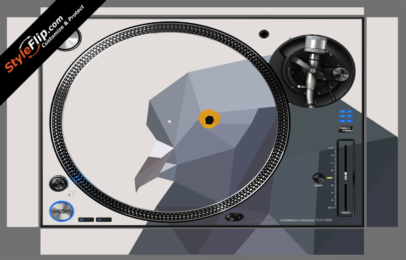 Chirp Chirp  Pioneer PLX-1000